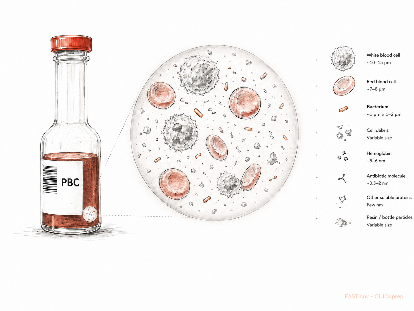 Complex clinical sample containing microorganisms, blood cells, proteins and debris